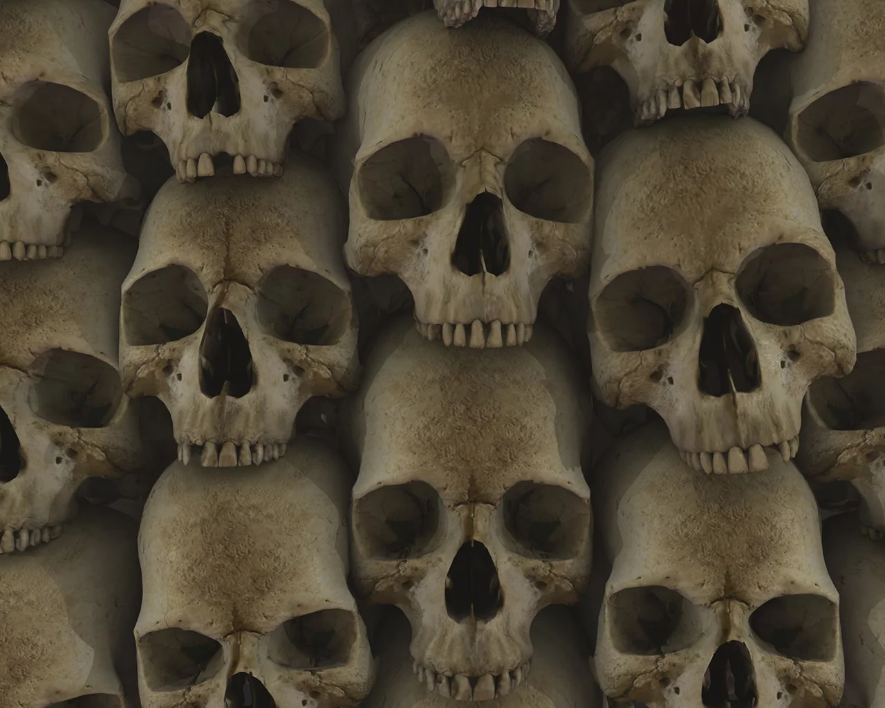 текстура, череп, skull