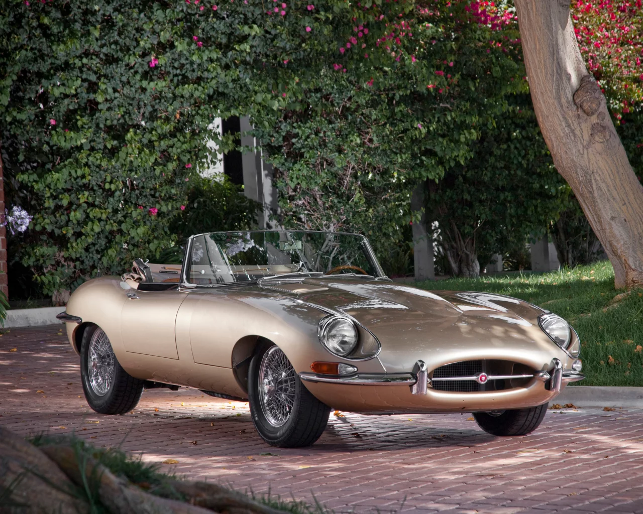 ягуар, jaguar, e-type, классика, красивая машина, кабриолет, тип-е, передок, дерево, е-тайп
