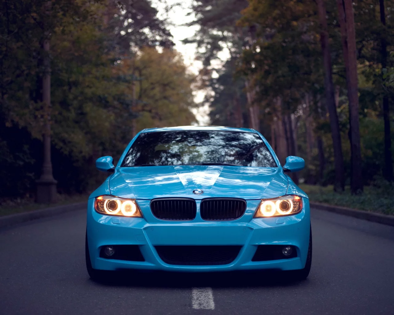 бмв, bmw, 3 series, дорога, front, лес, свет фар, голубая