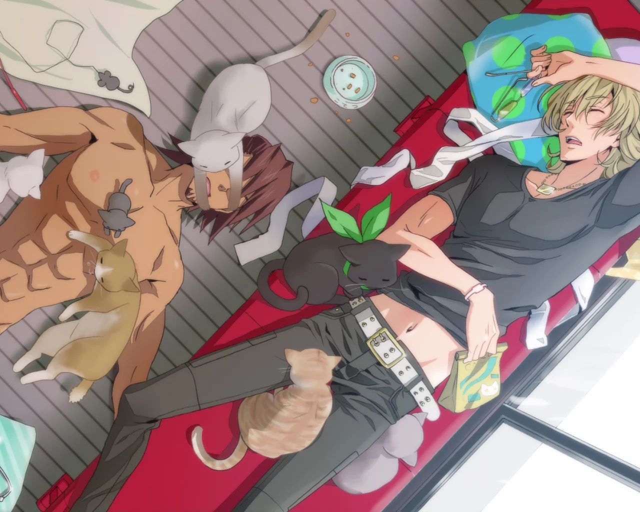 кошки, kaburagi t kotetsu, комната, диван, спят, tiger & bunny, парни, barnaby brooks jr, котэ