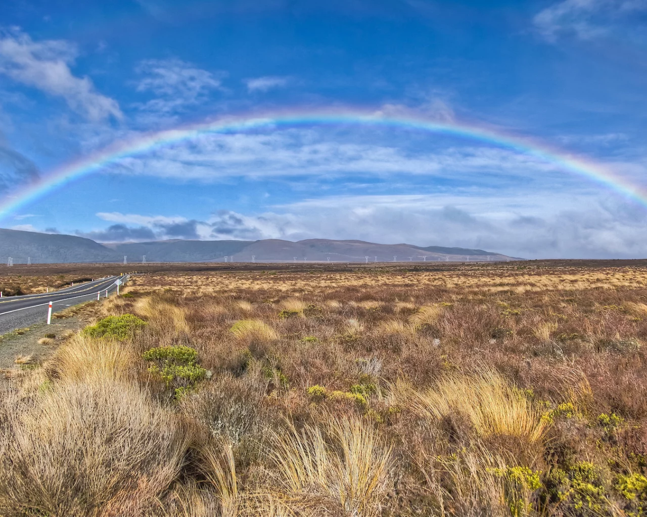 новая, зеландия, пейзаж, дорога, радуга, трава, new, zealand, природа, холмы