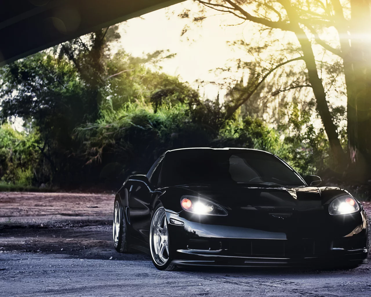 корвет, chevrolet, деревья, чёрный, шевроле, z06, corvette, black, блик, солнце