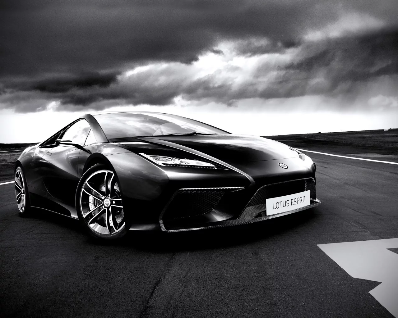 concept, lotus, esprit