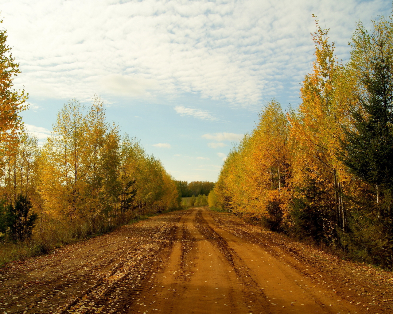 Проселочная дорога. Поздняя осень. Осенняя грунтова дорога. Осень в городе. Осень дорога в деревне