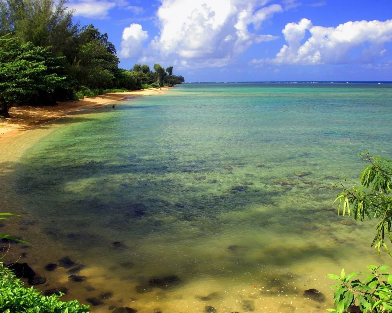деревья, облака, вода, море