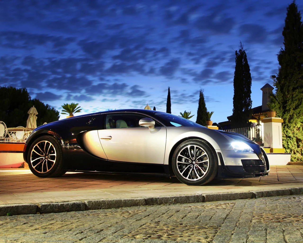 ss, растения, veyron, bugatti, фары, вечер
