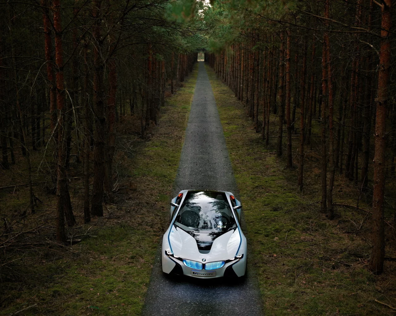 обои, лес, сосны, прототип, vision, дорога, bmw, dynamics