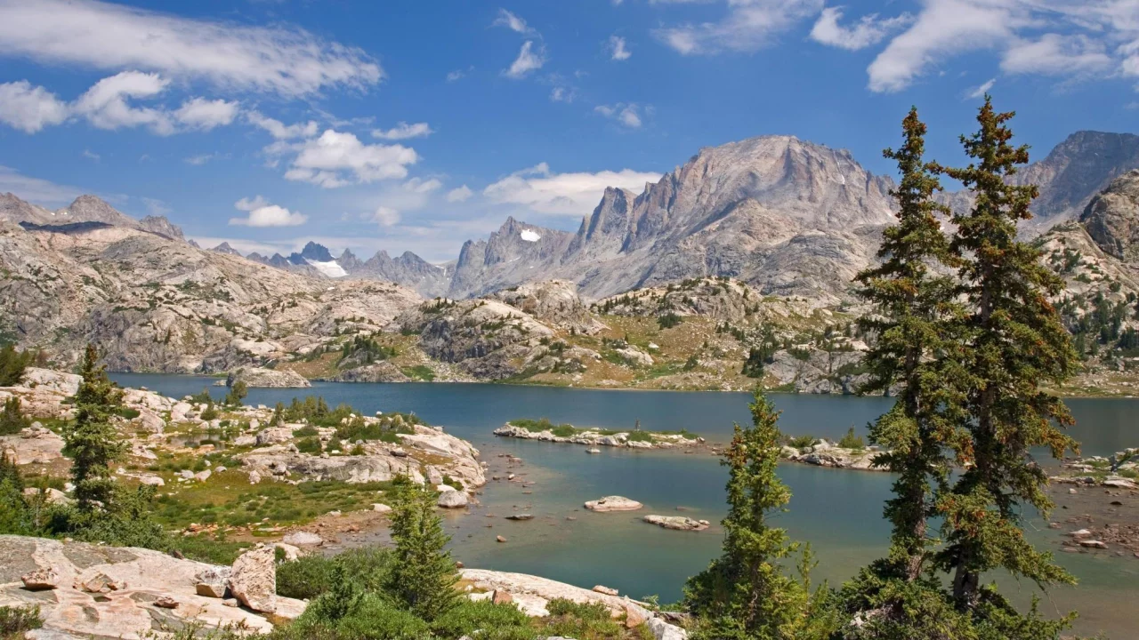 природа, usa, лес, island lake, bridger national forest, bridger wilderness, горы, озеро