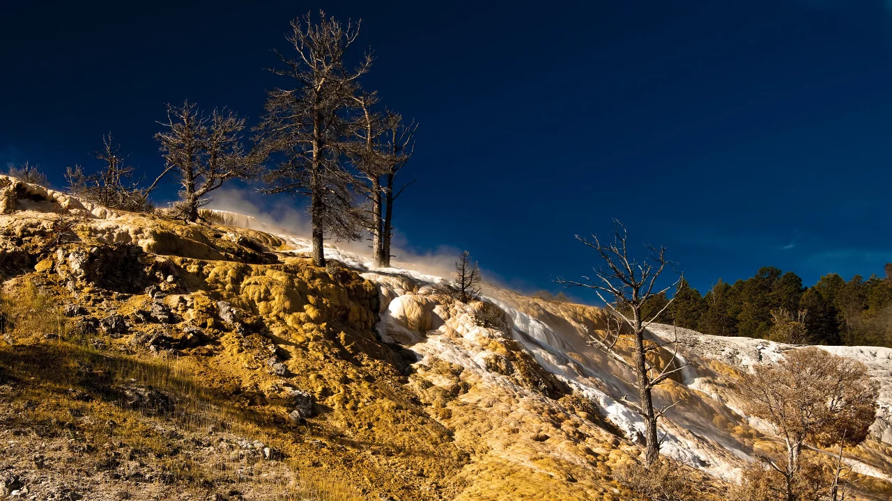 mammoth springs, вайоминг, сша