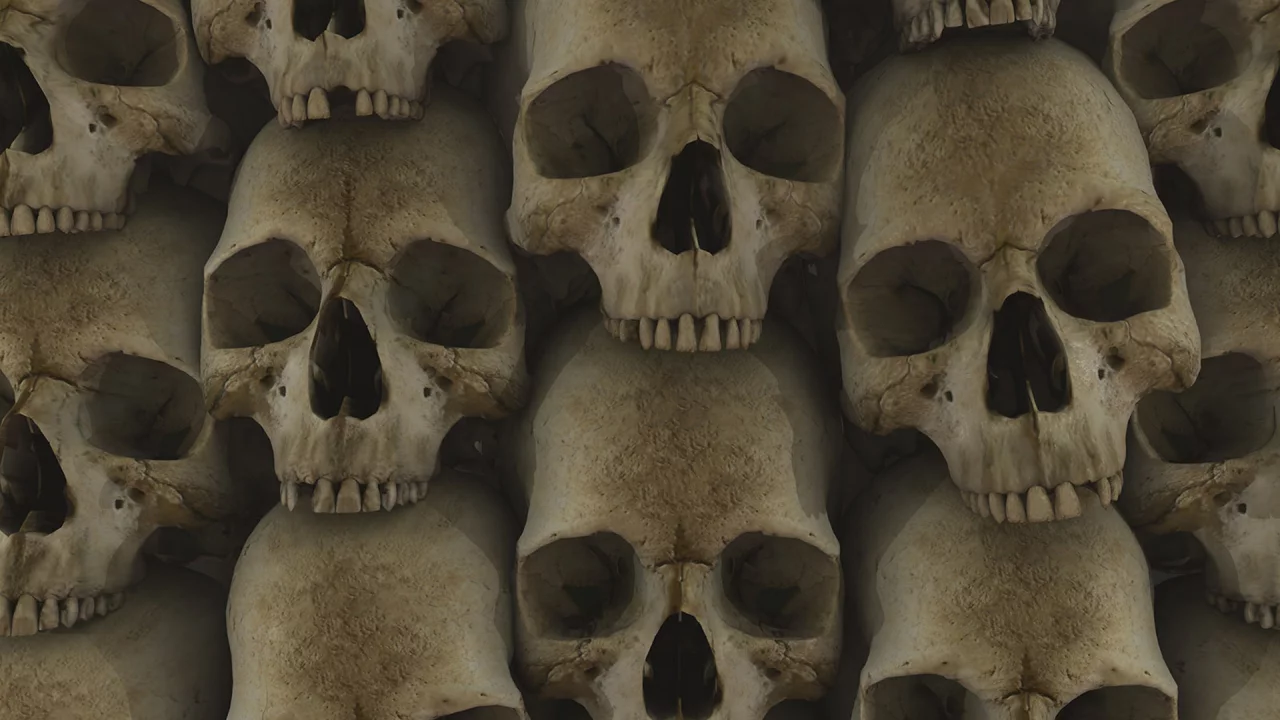 текстура, череп, skull