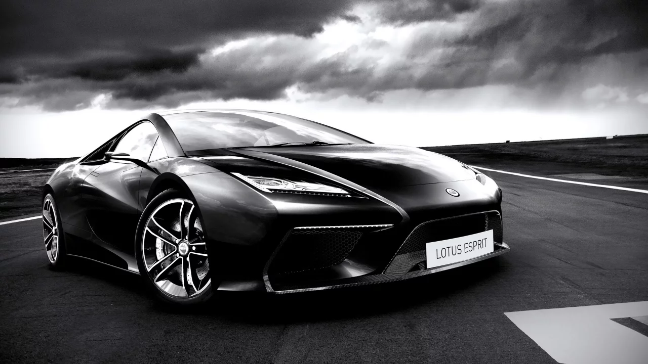 concept, lotus, esprit