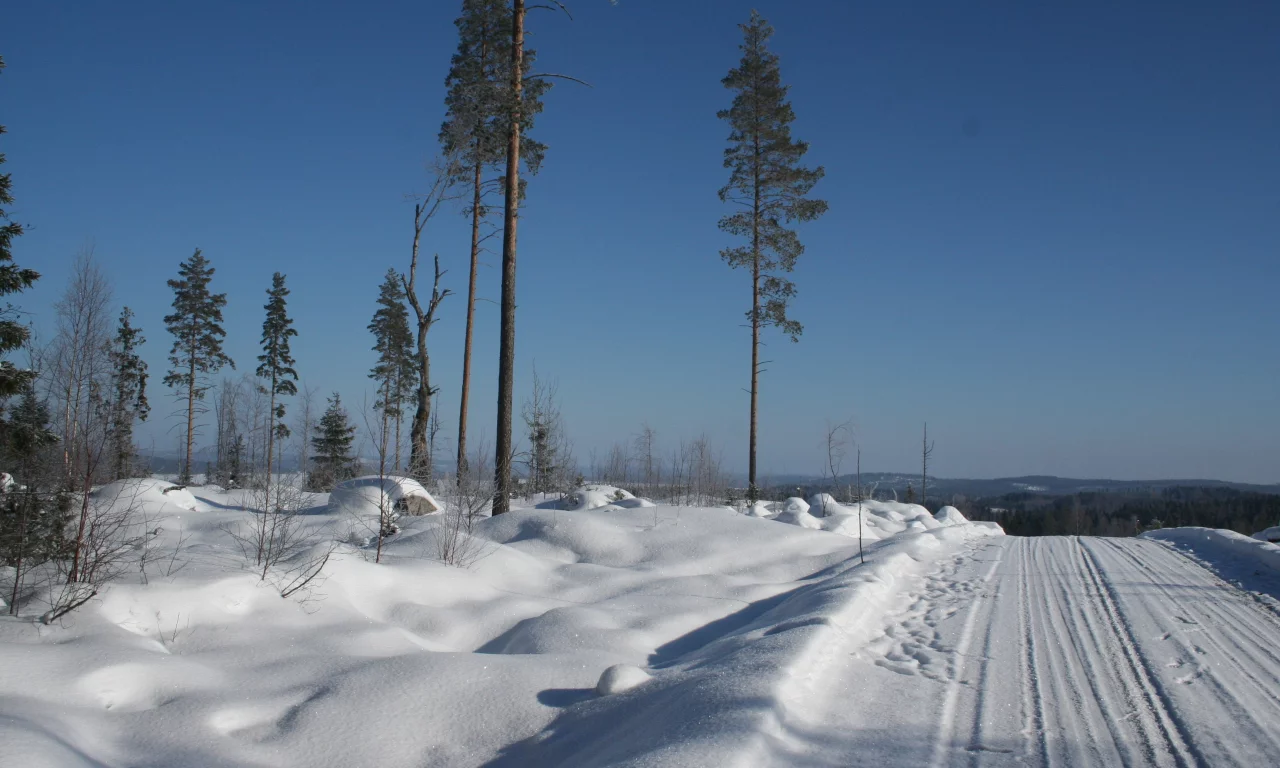 блеск, снег, зима, дорога, мороз
