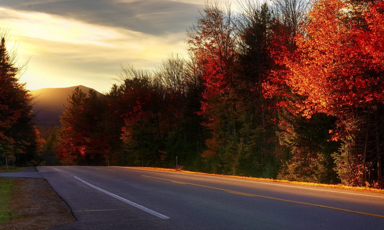 дорога, kancamagus highway, new hampshire, деревья