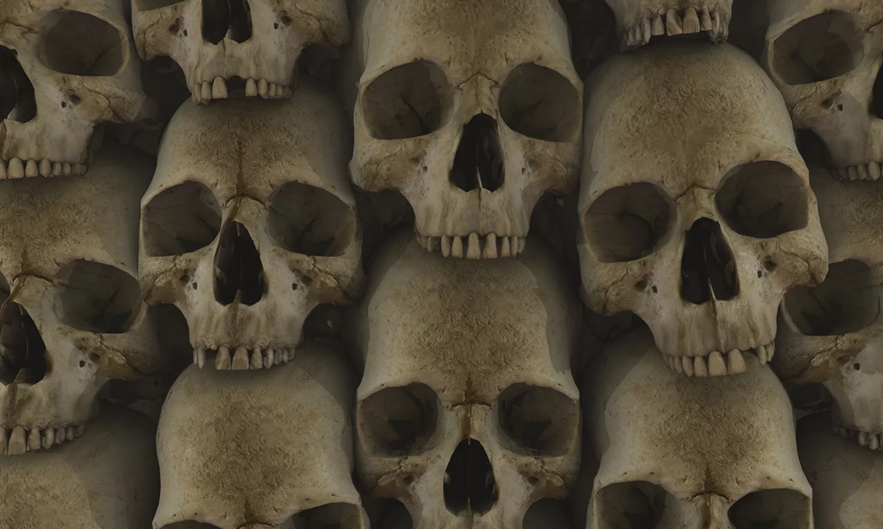 текстура, череп, skull