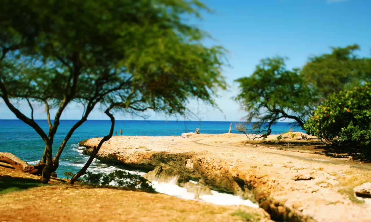 tilt-shift, oahu, кустарники, дорога, волны, hawaii, пляж, камни, море, побережье, деревья