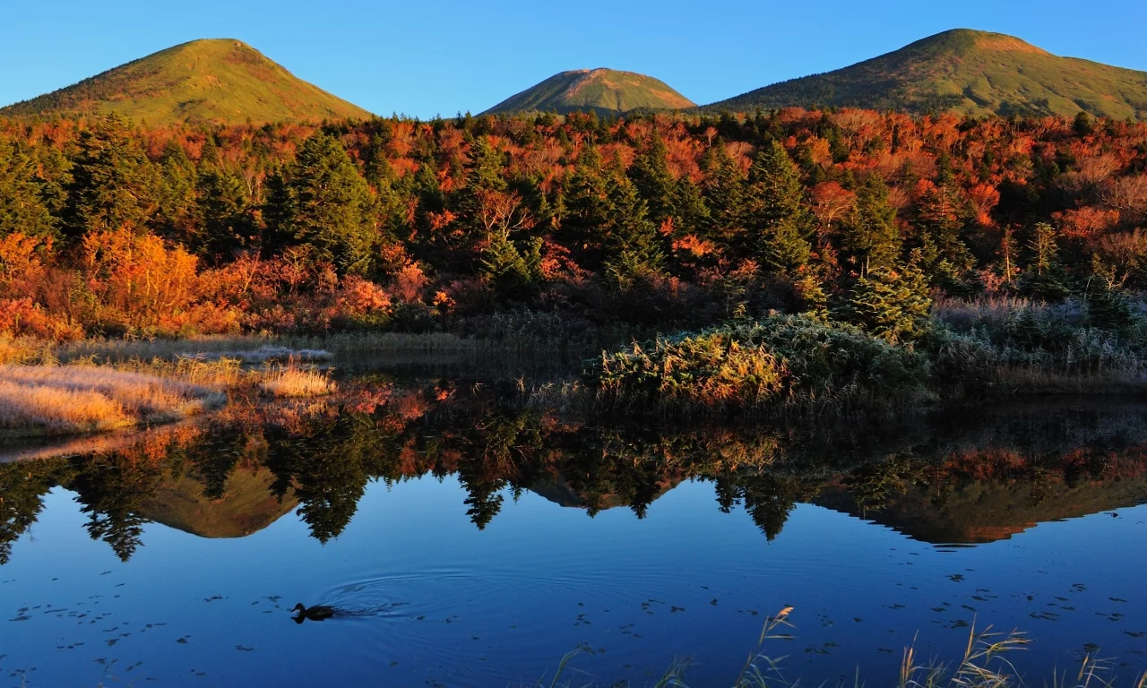 холмы, lake, nature, озеро, вода, природа, water, duck, autumn, landscape, hills, деревья, утка, trees, пейзаж, осень