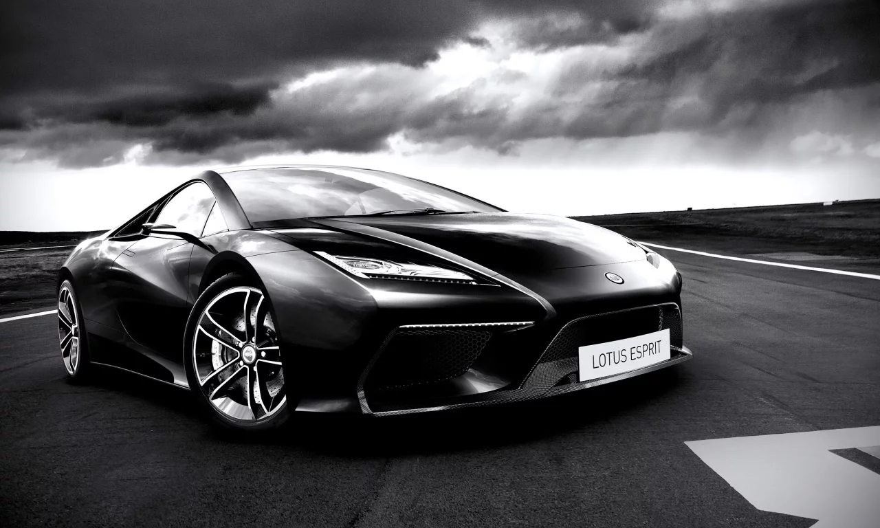 concept, lotus, esprit