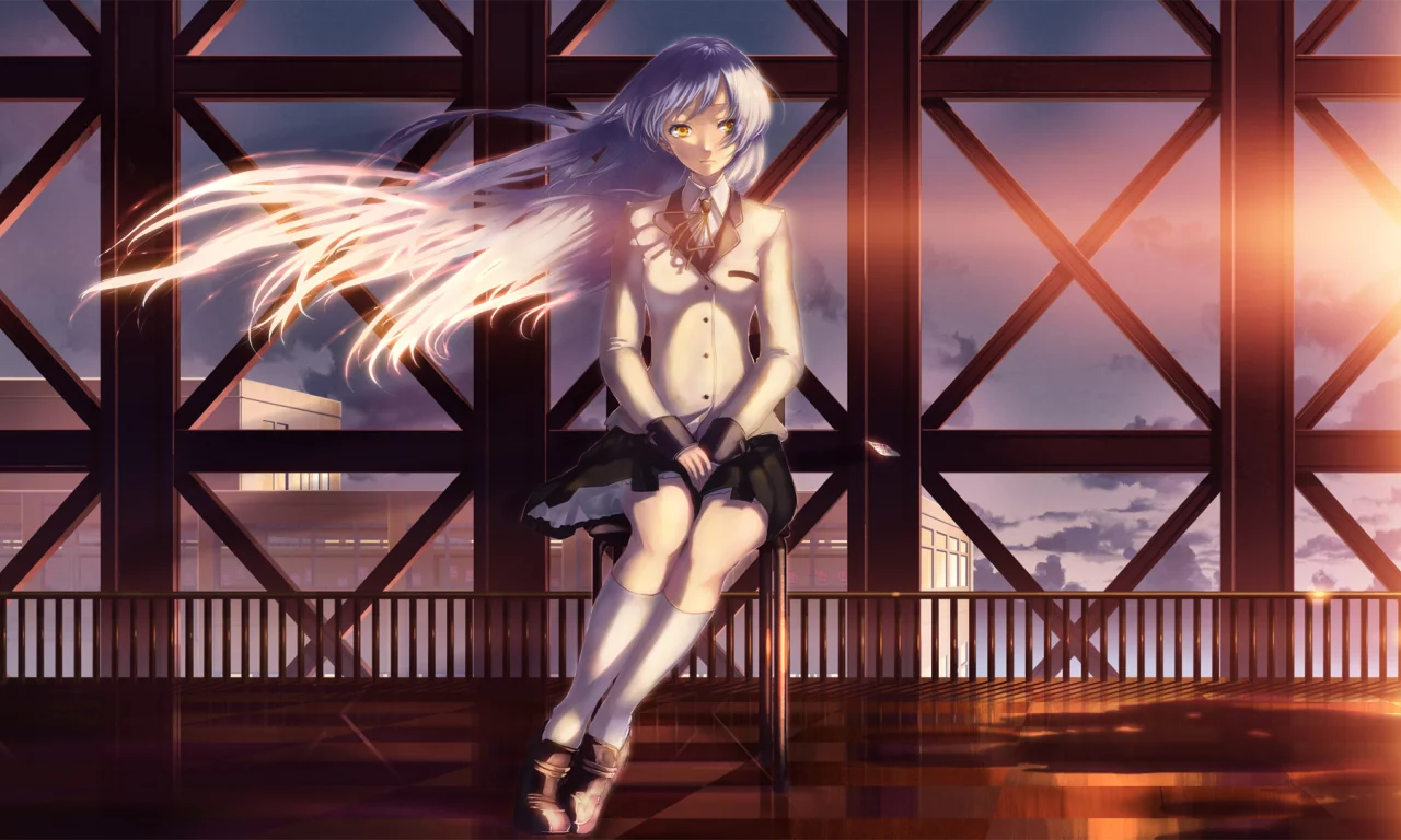 девушка, angel beats, длинные волосы, sunset, закат, крыша