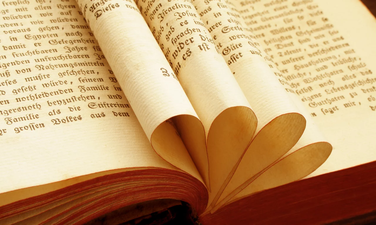 книга, макро, book, macro