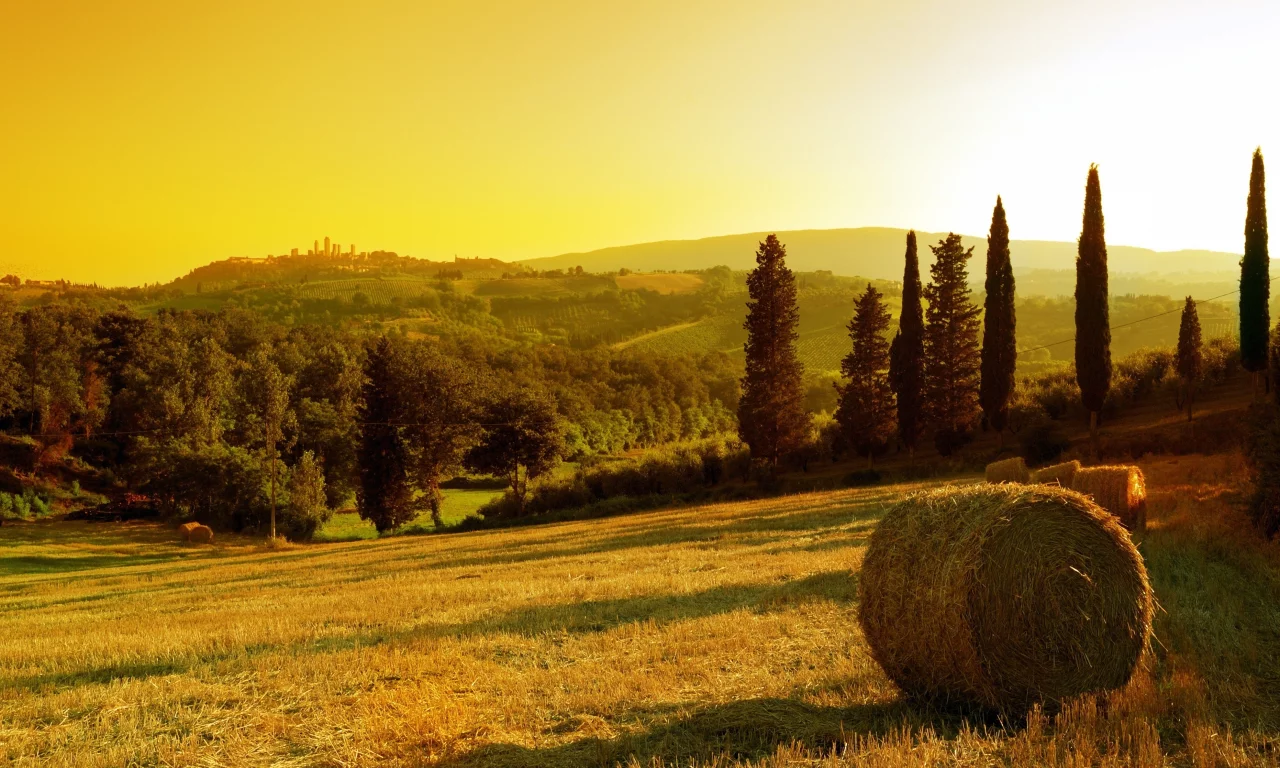 деревья, sunset in village, стог, солнце, закат, сено, поле, небо, золотое