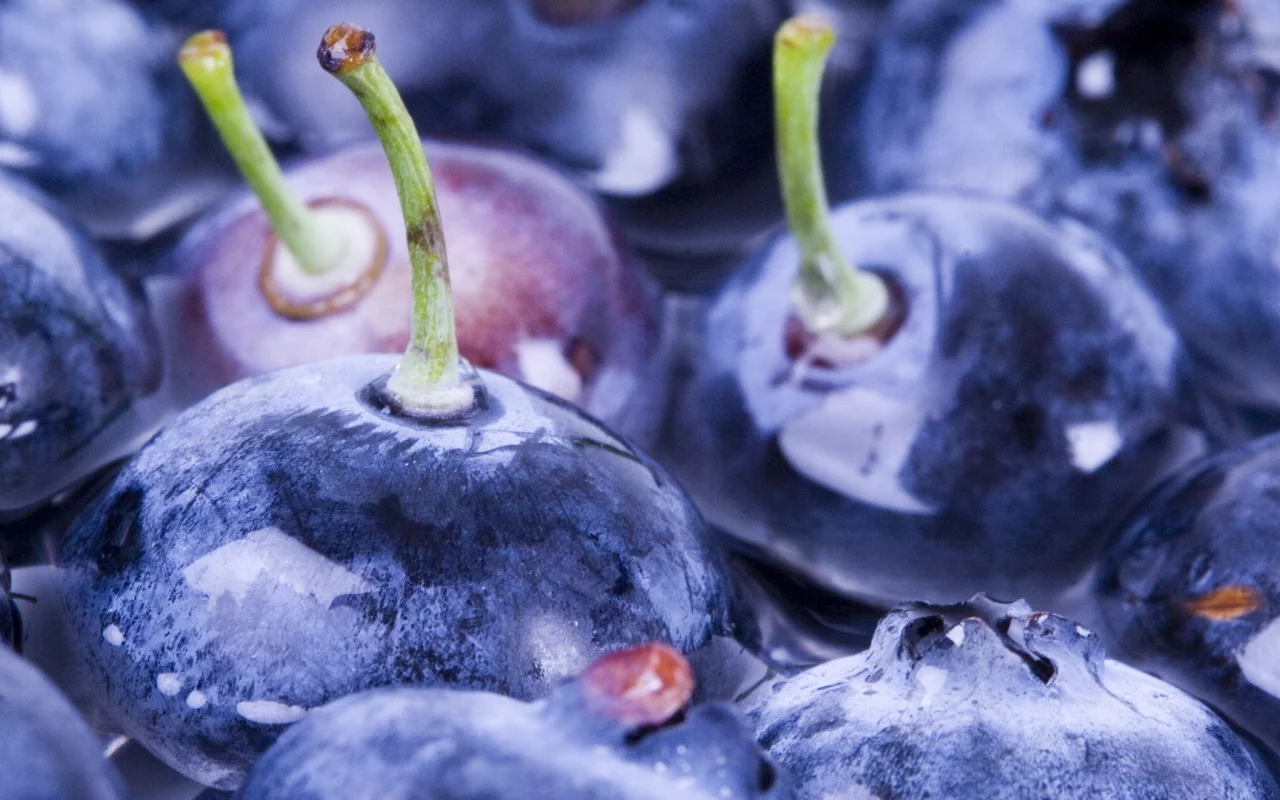 вода, water, черника, ягоды, berries, blueberry, макро, macro, 1920x1080