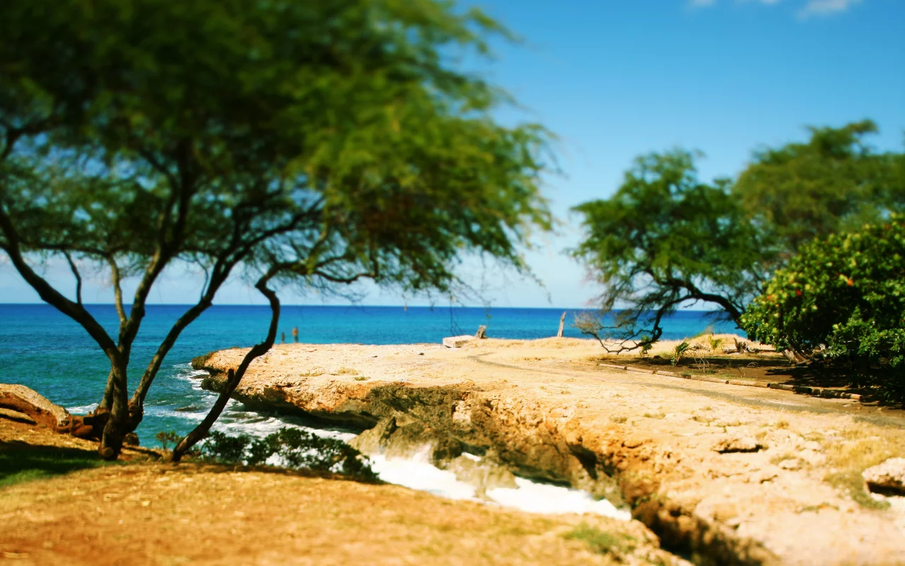 tilt-shift, oahu, кустарники, дорога, волны, hawaii, пляж, камни, море, побережье, деревья
