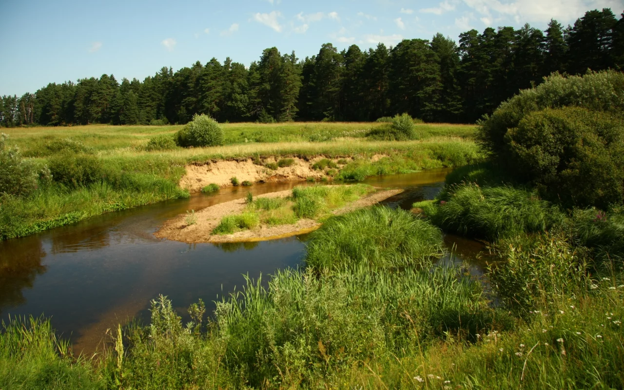 река, прогулка, природа, кава, небо, лес, трава