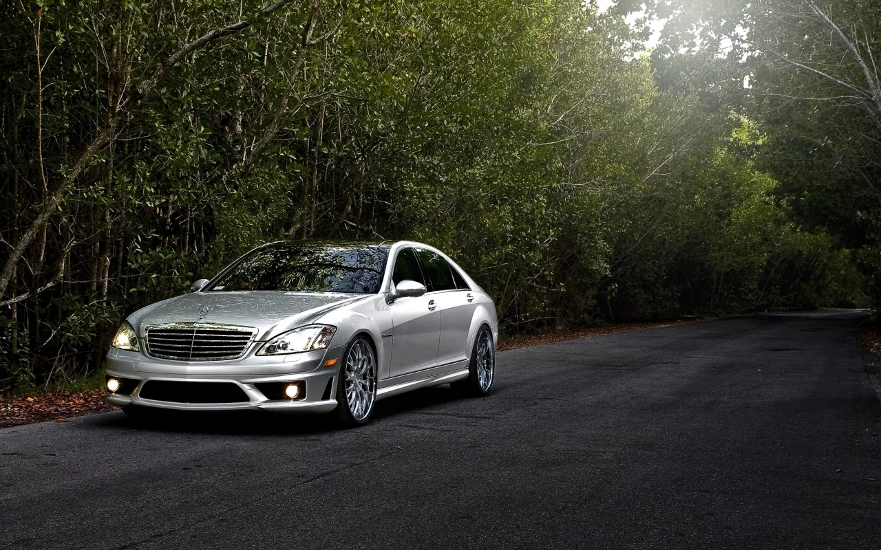 лес, amg, серебристый, дорога, s65, mercedes-benz, тюнинг, мерседес, амг, деревья, tuning