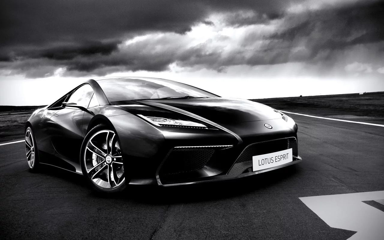 concept, lotus, esprit