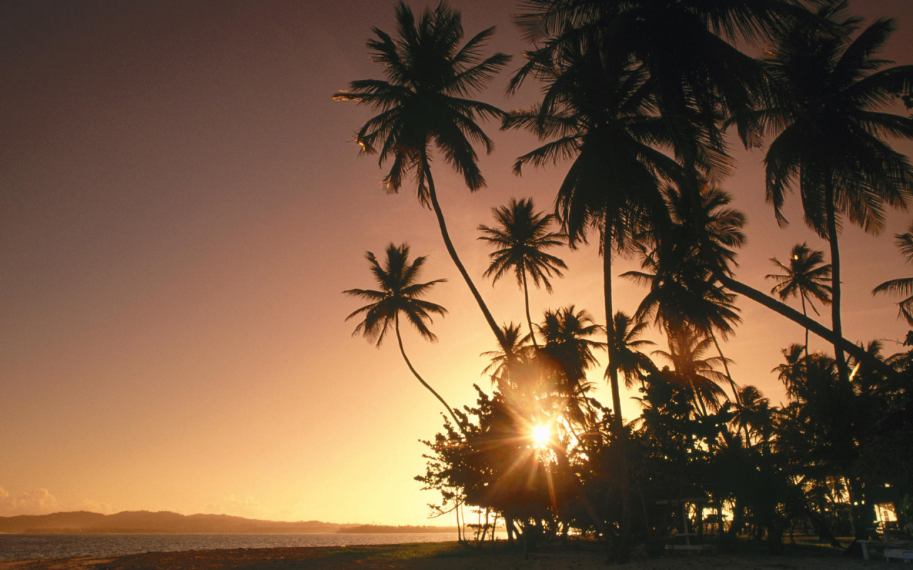 пейзаж, sun, sky, море, palm trees, пальмы, landscape, nature, 1920x1200, sea, солнце, sunset, природа, закат, небо