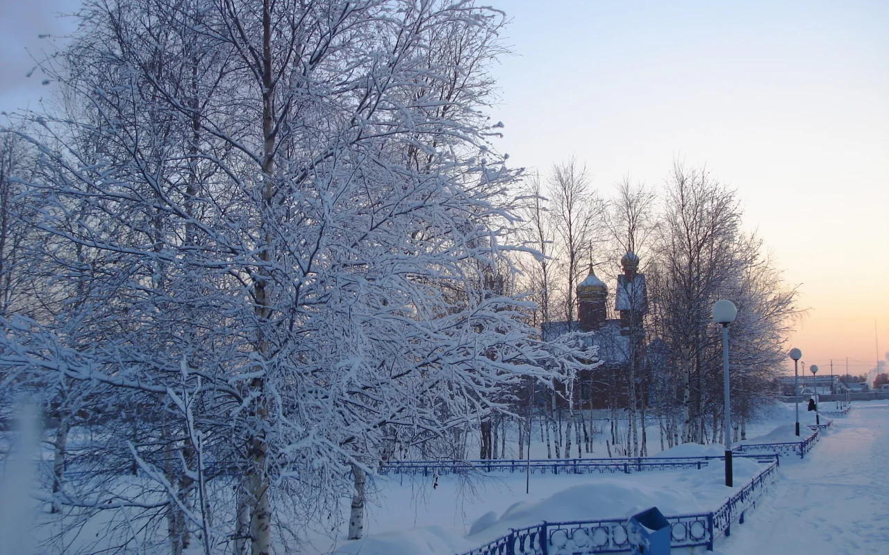 церковь, мусорка, деревья