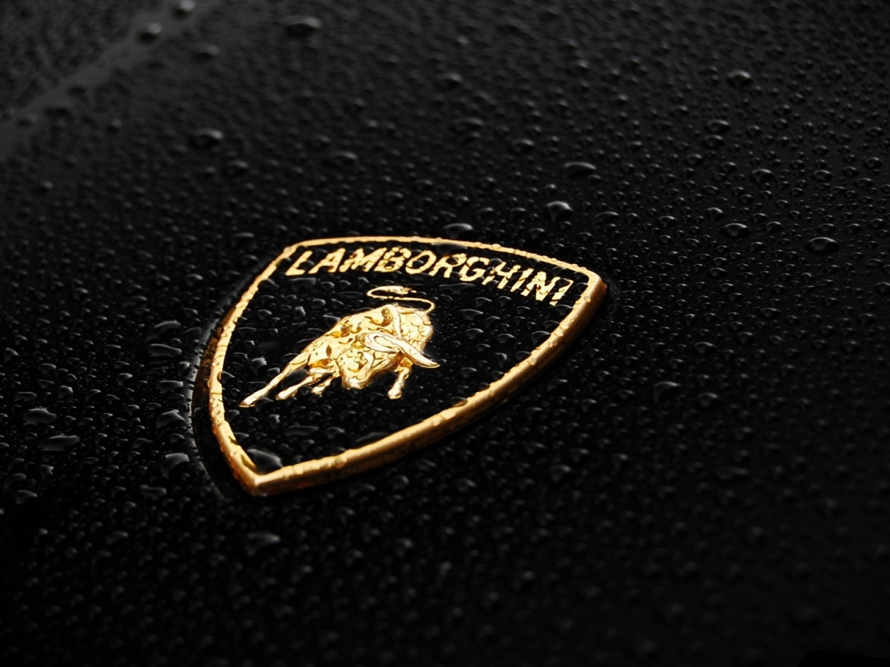 ламборгини, lamborghini, шильдик, бык, ламборджини, капли, ламбо, значок, эмблема, чёрный