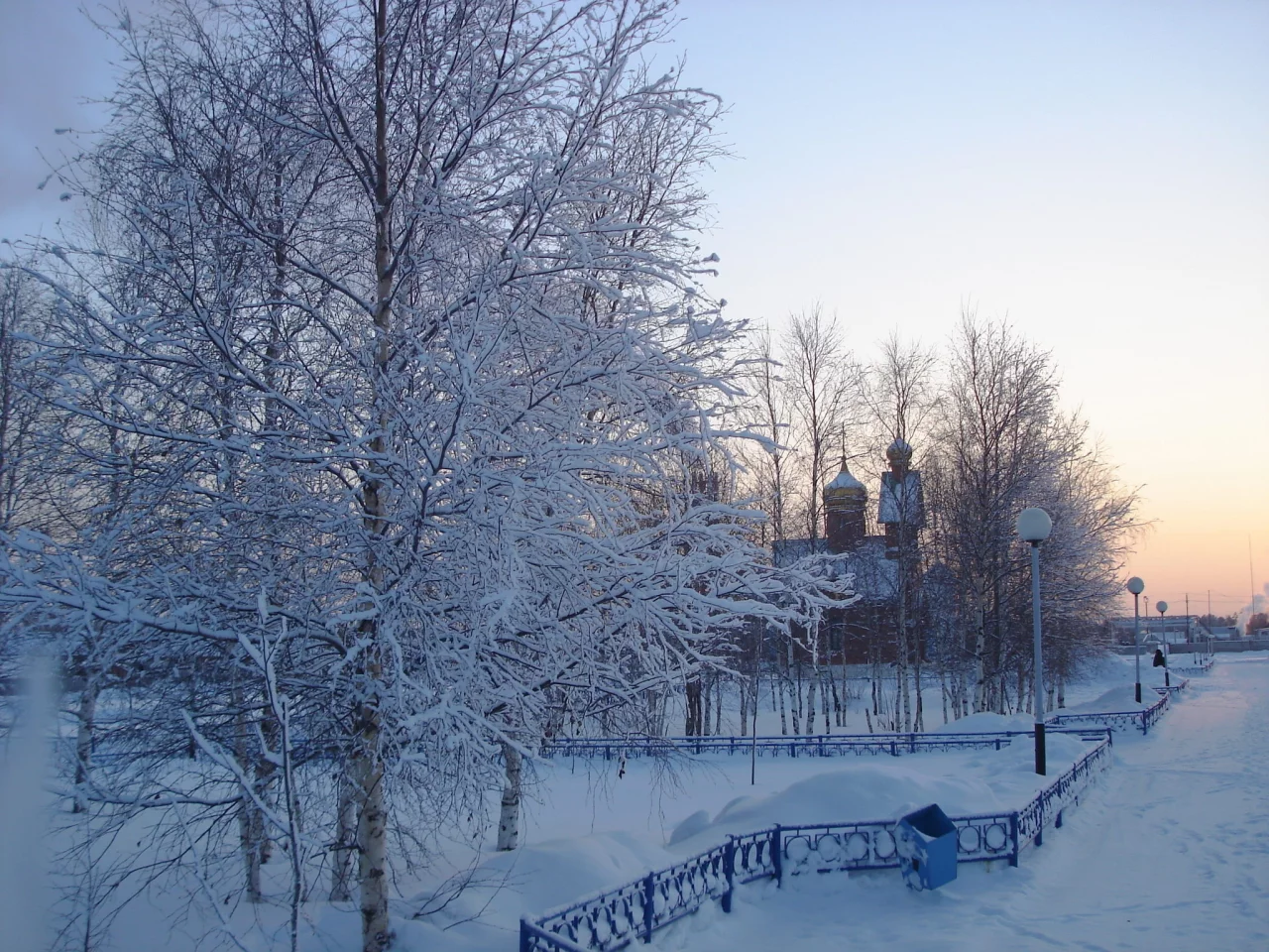 церковь, мусорка, деревья