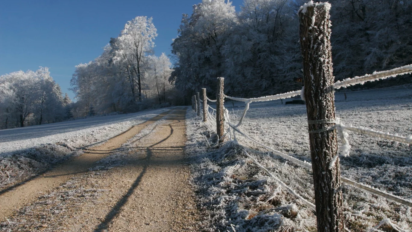 дорога, иней, деревья, снег, зима, природа
