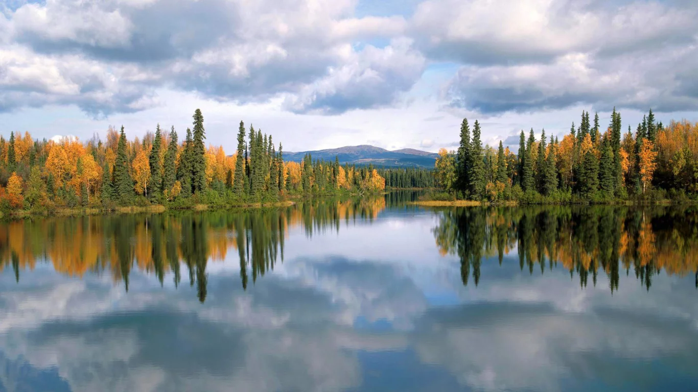 лес, озеро, canada, dragon lake, yukon, деревья, отражение, осень
