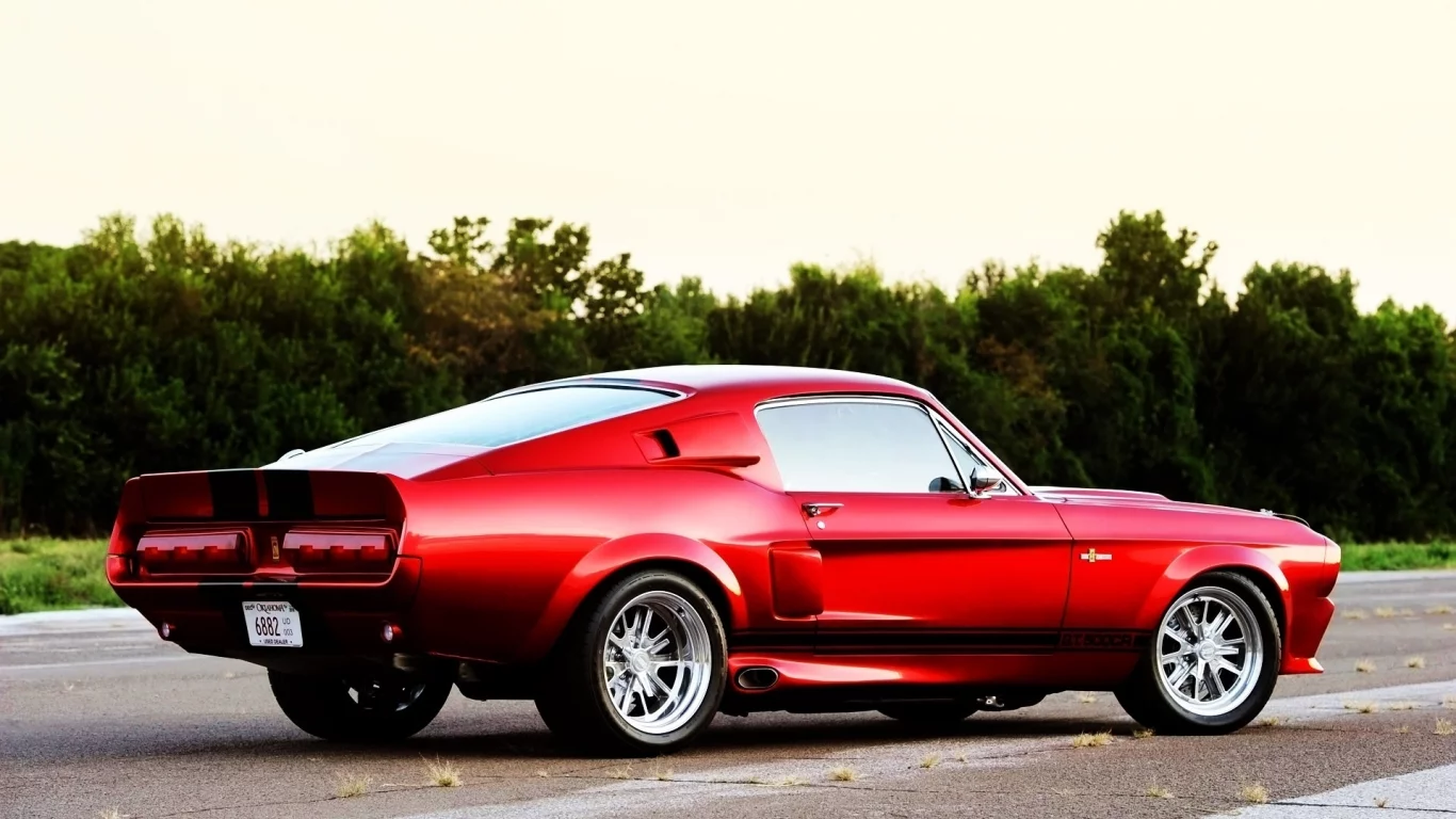 2011, cars, cr, auto, shelby gt500