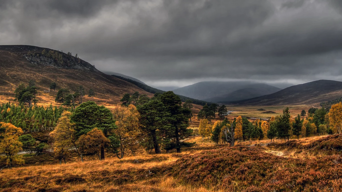 national, nature, geographic, autumn