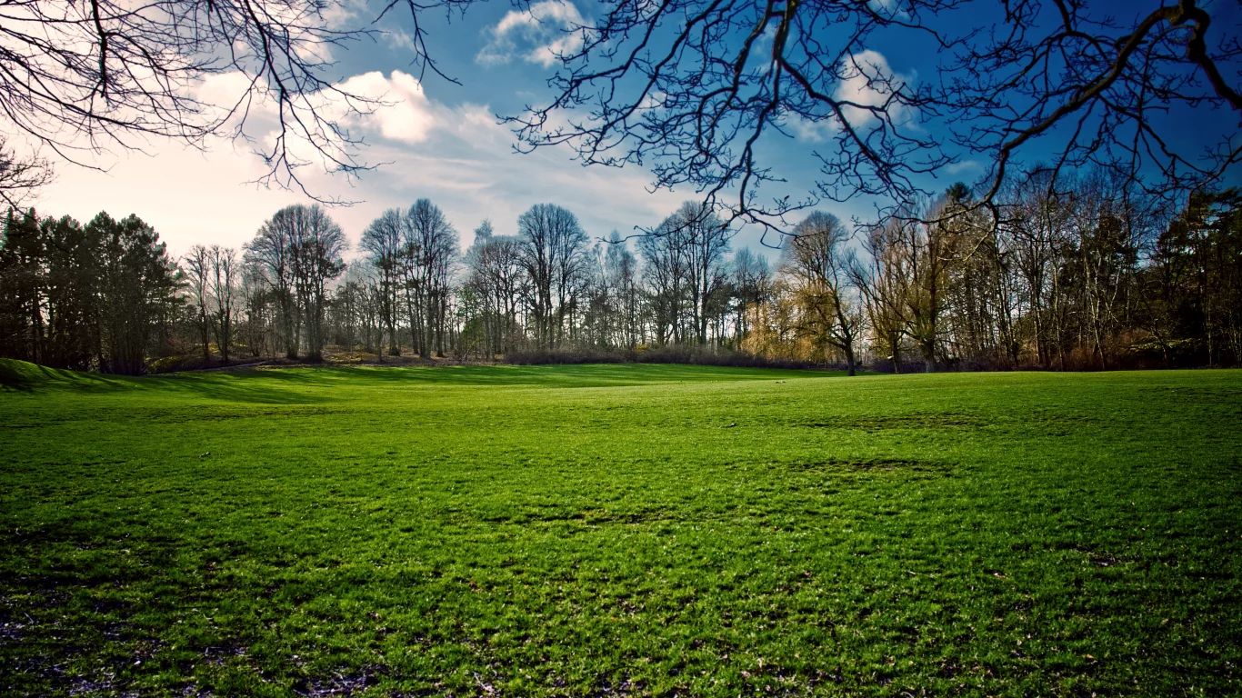 поле, весна, spring, природа, трава, небо, пейзаж, деревья, солнце, день