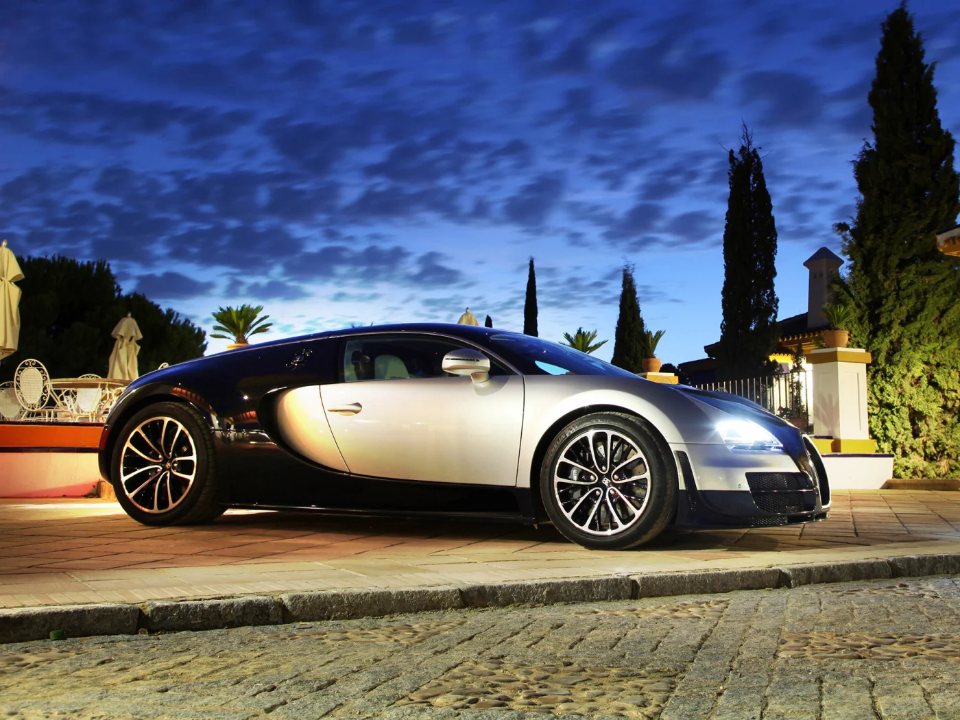 ss, растения, veyron, bugatti, фары, вечер