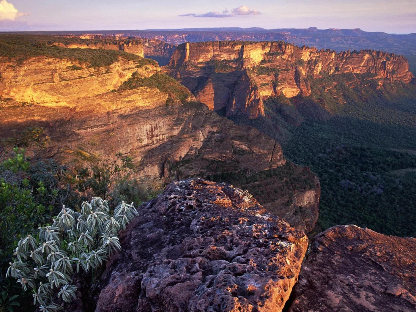 brasil, chapada dos guimar__es at mato grosso, brazil, chapada dos guimar__es no mato grosso