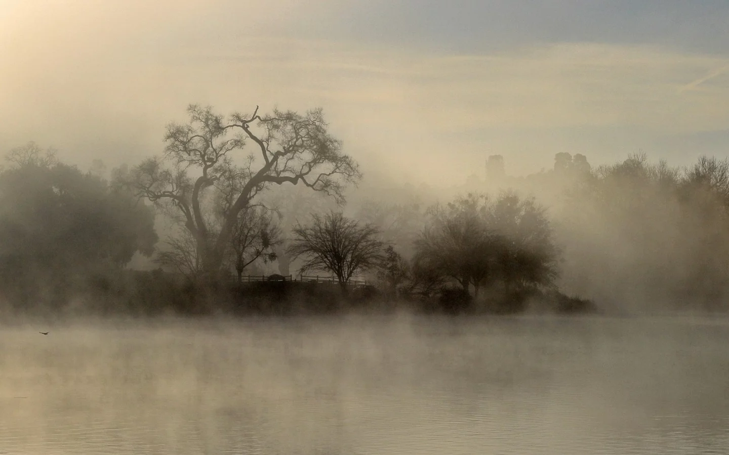 пейзаж, небо, trees, sky, озеро, деревья, туман, fog, landscape, nature, lake, природа