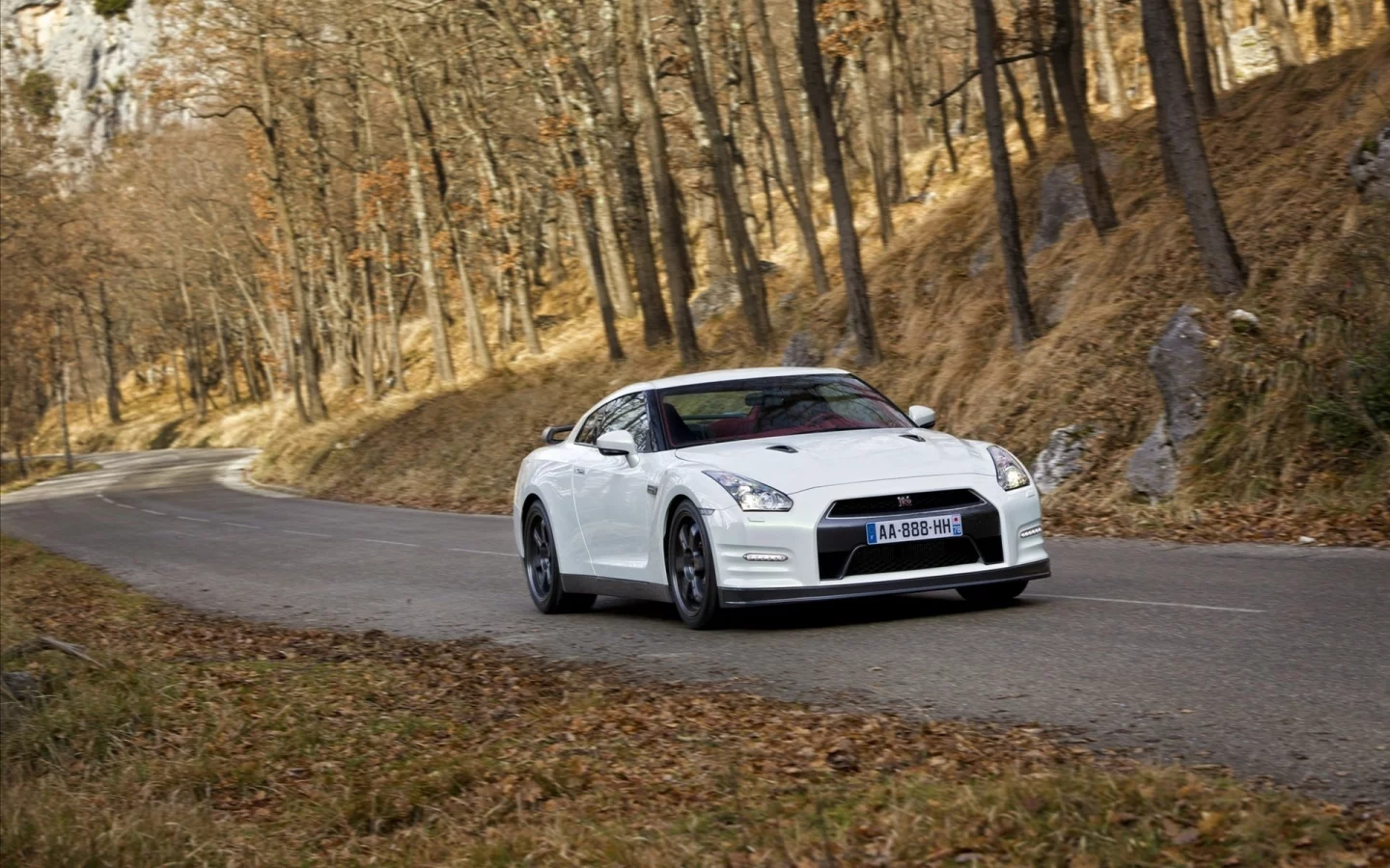 gt-r egoist, nissan, белый, авто, тачки, леса, деревья, дерево, ниссаны, дорога