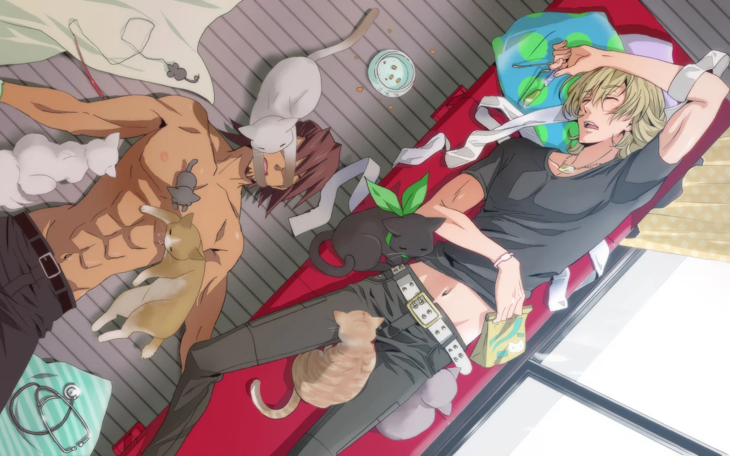 кошки, kaburagi t kotetsu, комната, диван, спят, tiger & bunny, парни, barnaby brooks jr, котэ