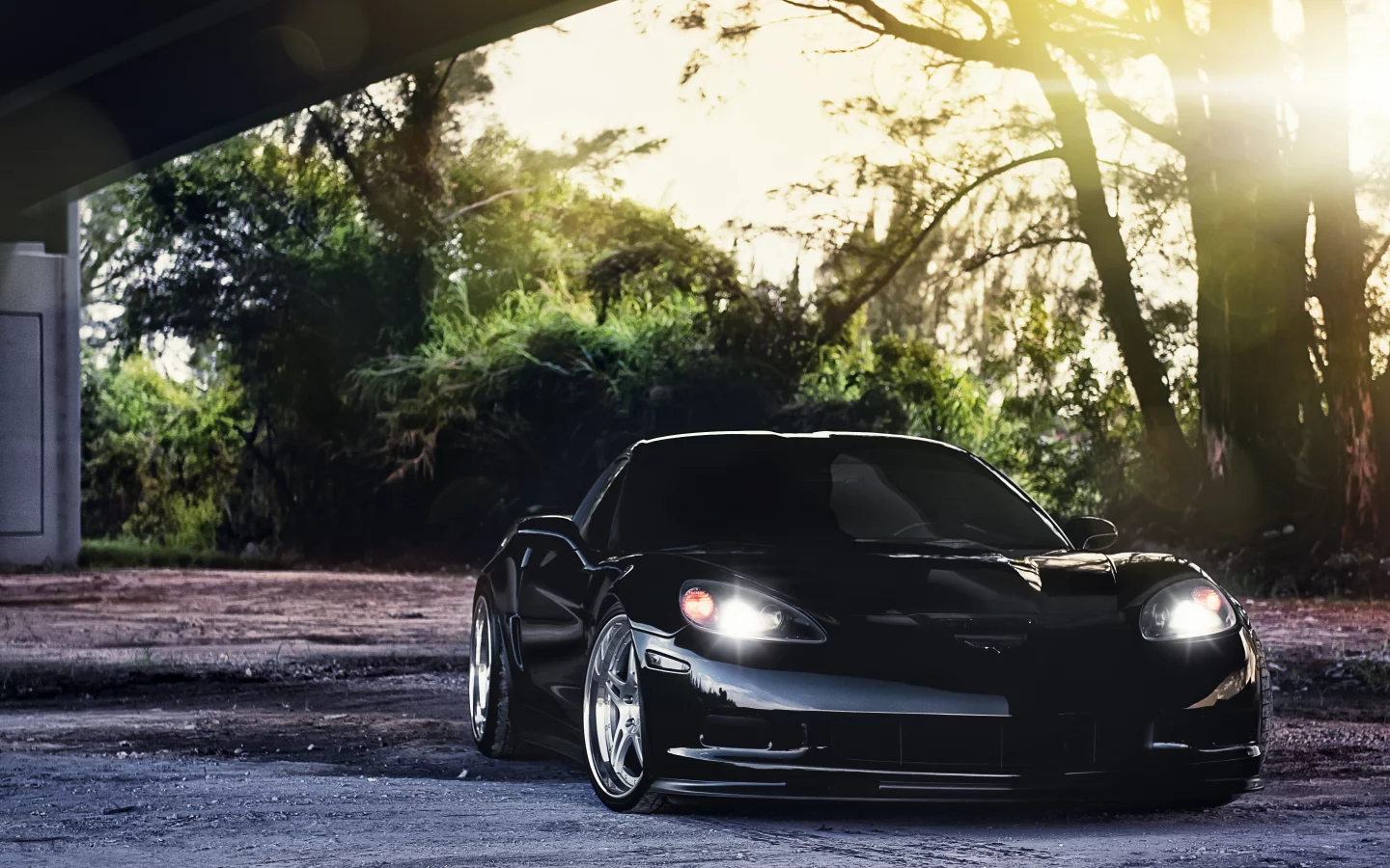корвет, chevrolet, деревья, чёрный, шевроле, z06, corvette, black, блик, солнце