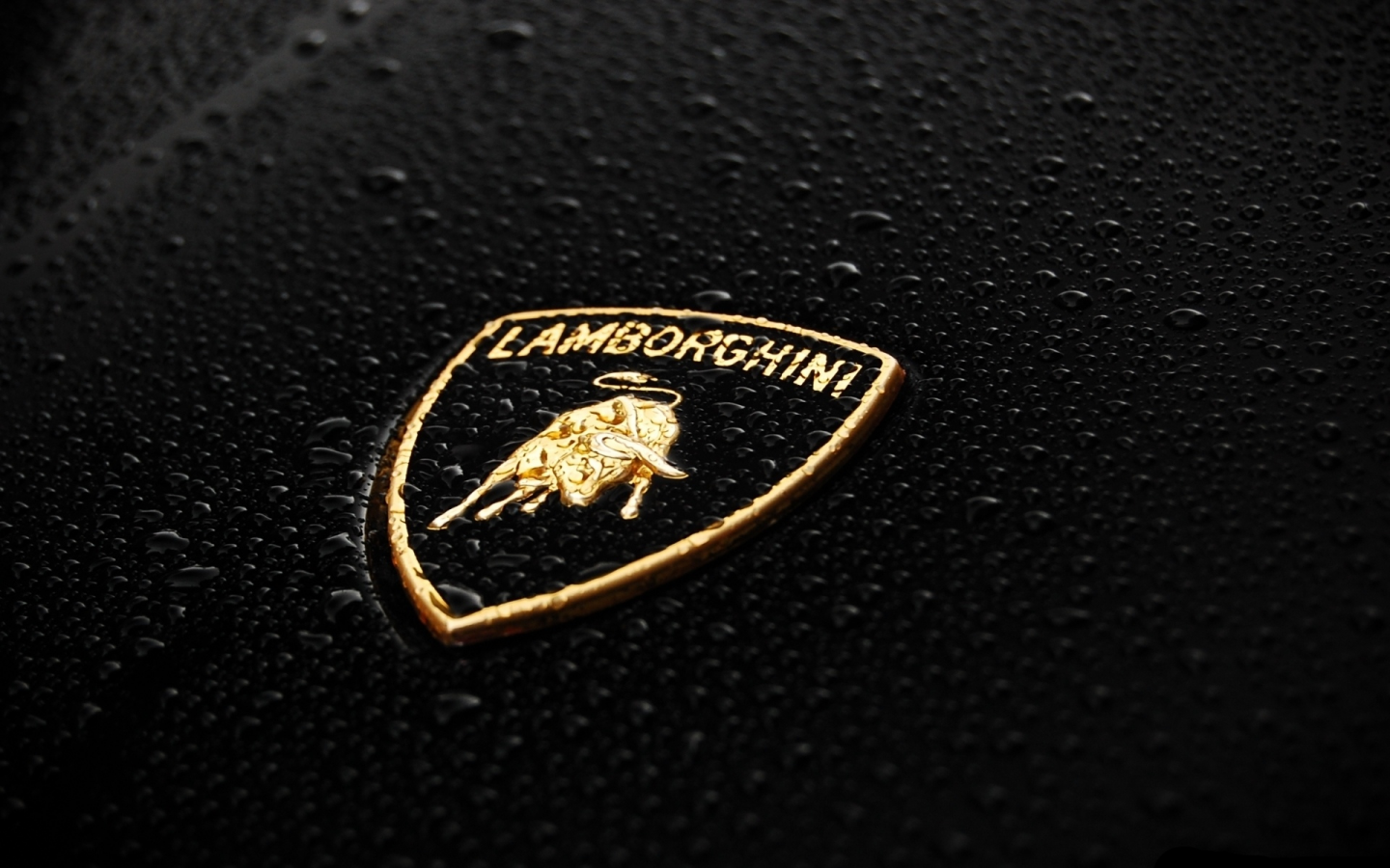 ламборгини, lamborghini, шильдик, бык, ламборджини, капли, ламбо, значок, эмблема, чёрный