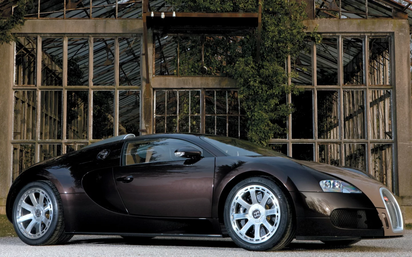 стиль, оранжерея, veyron, bugatti