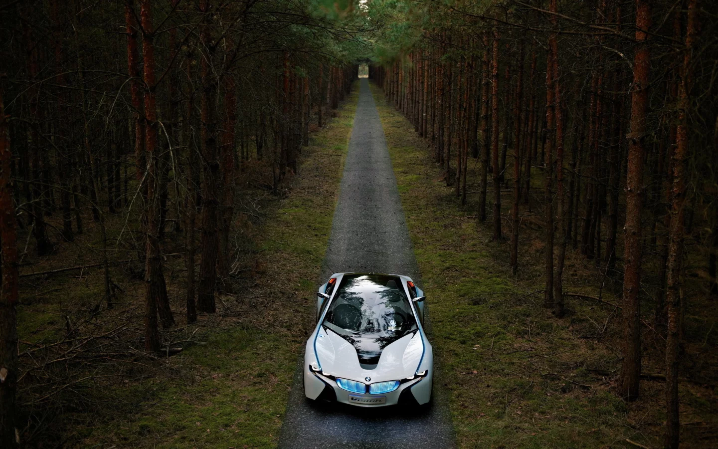 обои, лес, сосны, прототип, vision, дорога, bmw, dynamics