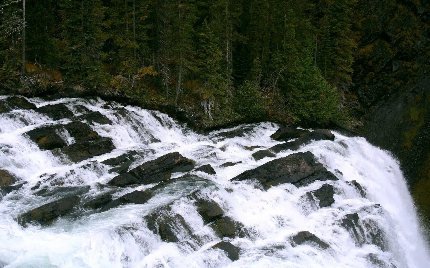 waterfall, природа, вода, водопад, обои, деревья