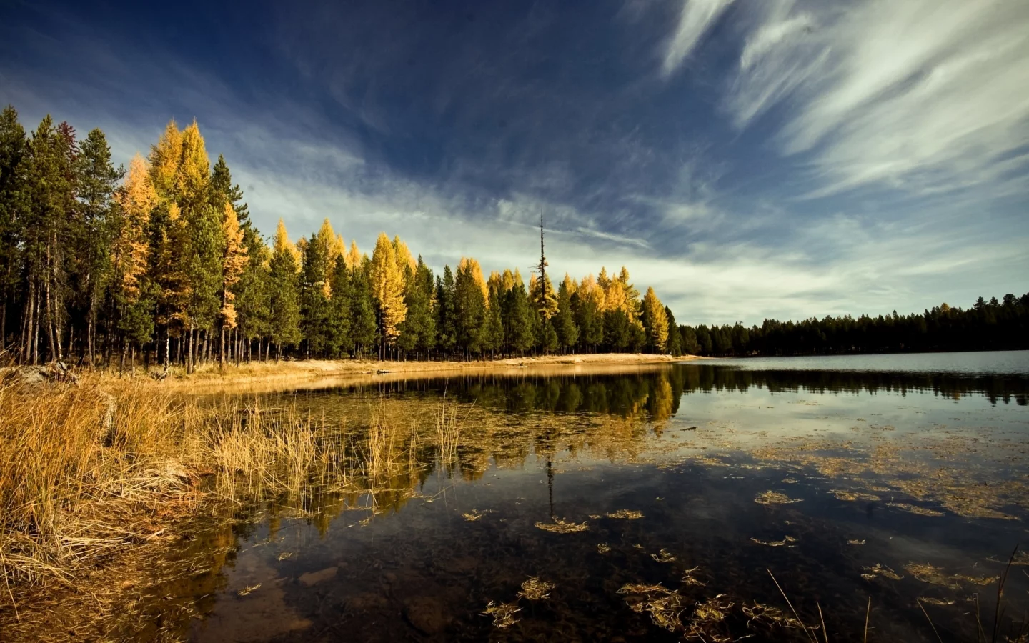 облака, природа, река, обои, пейзаж, фон, берег, лес, wallpapers, осень, деревья, небо