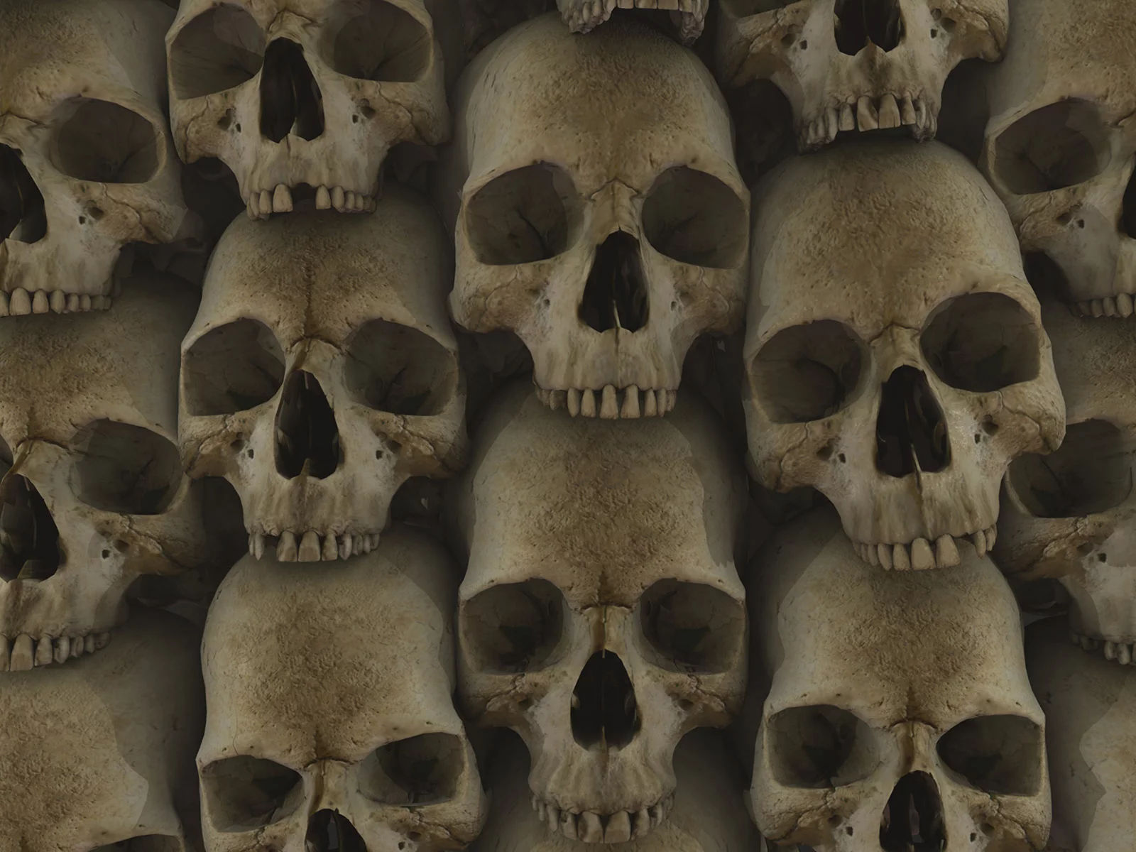 текстура, череп, skull